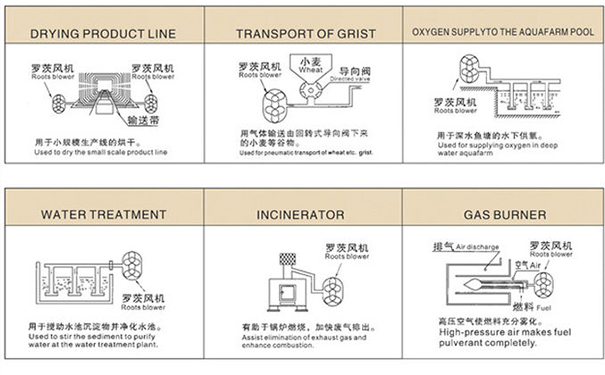 罗茨合欢app视频用途